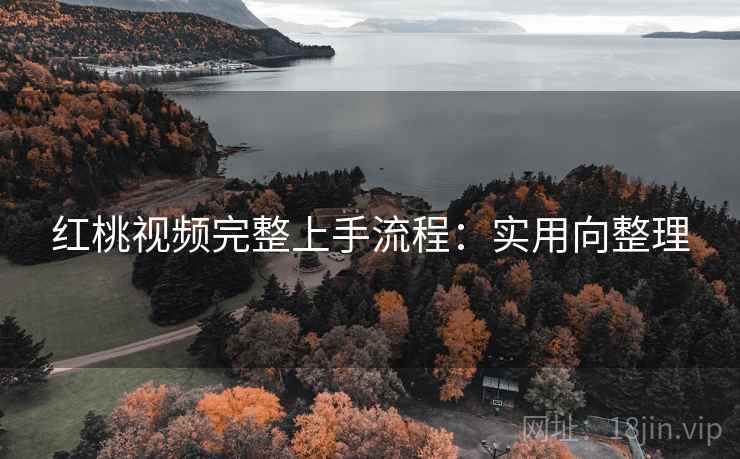 红桃视频完整上手流程：实用向整理