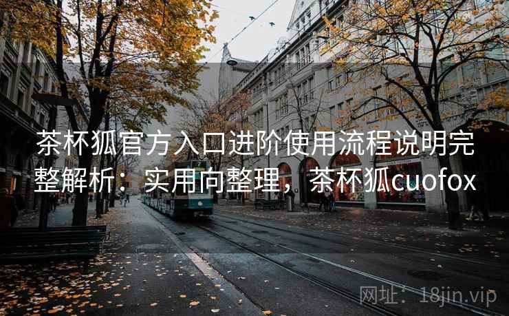 茶杯狐官方入口进阶使用流程说明完整解析：实用向整理，茶杯狐cuofox